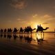 Camel Ride in Agadir