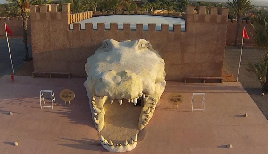 Crocodile Park Tours From Agadir