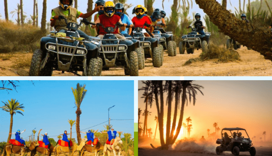 Quad bike - Camel ride and Buggy tours