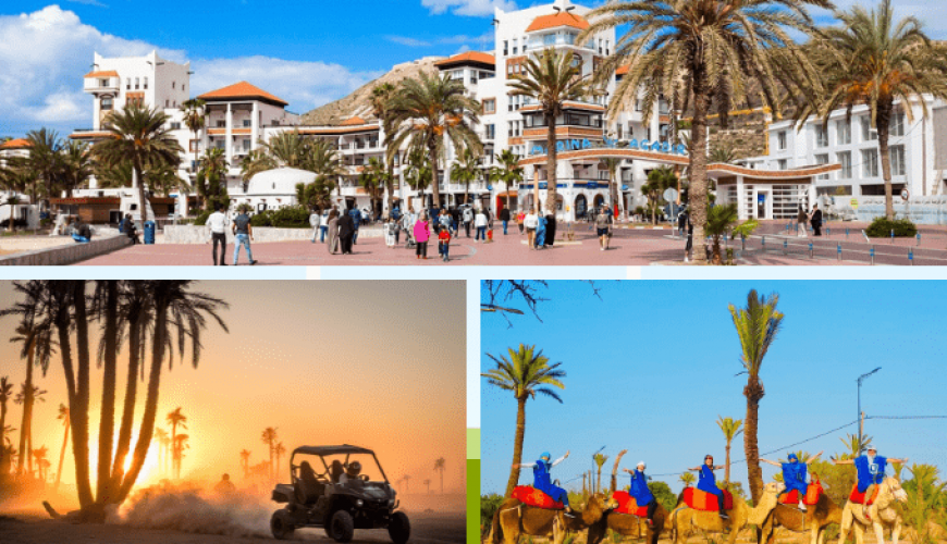 City tours - Buggy tours and Camel ride