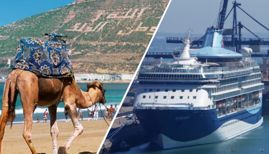 Camel ride in agadir - Cruise ships