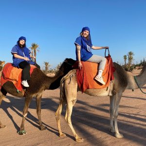 Camel Ride ImohaTours Agadir