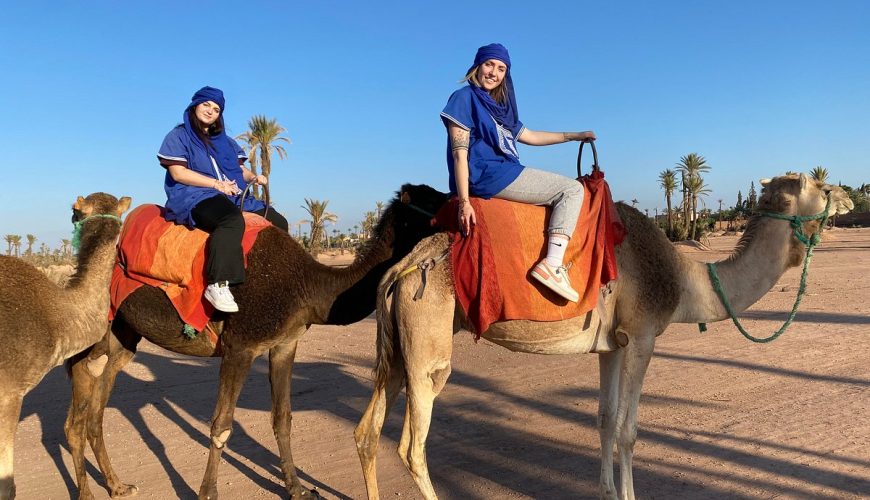 Camel Ride ImohaTours Agadir